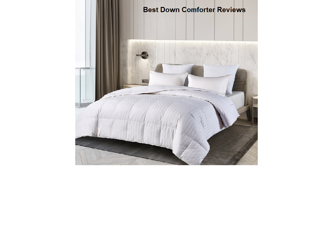 Best Down Comforter Reviews